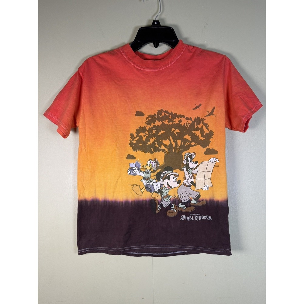 Disney Animal Kingdom Kids Lg Safari T-Shirt Mickey Donald Goofy Ombre Sunset